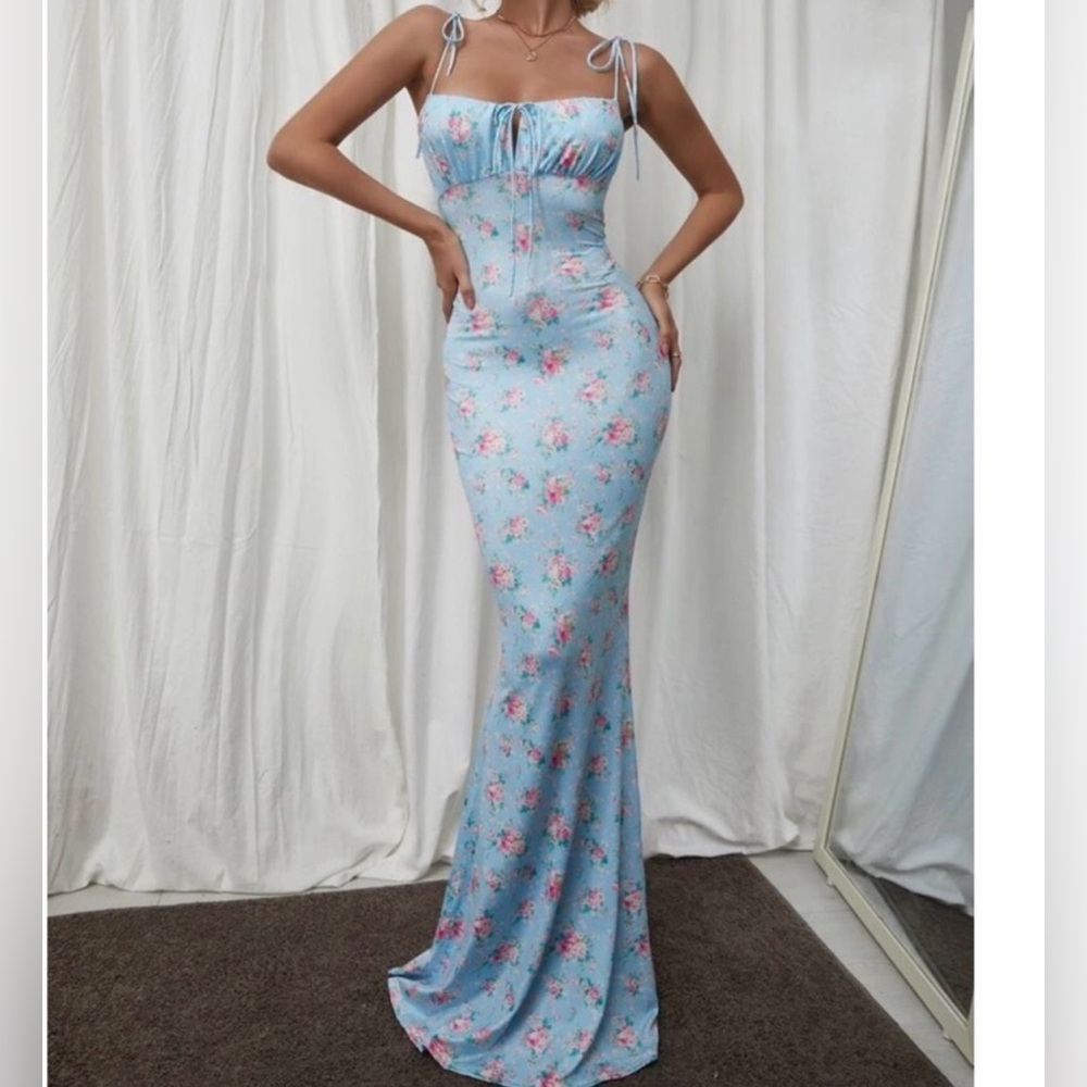 Aritzia Blue Floral Maxi Dress
